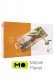 Viva Olives, 35х22.5 см (S3235-Q007) (UA)