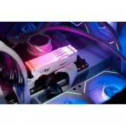 Kingston FURY 64 GB (2x32GB) DDR5 6000 MHz Beast RGB EXPO White (KF560C36BWEAK2-64) (UA)