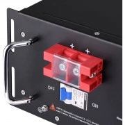 2E LiFePO4 48V-100Ah, 19