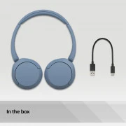 Sony Наушники On-ear WH-CH520 (WHCH520L.CE7)