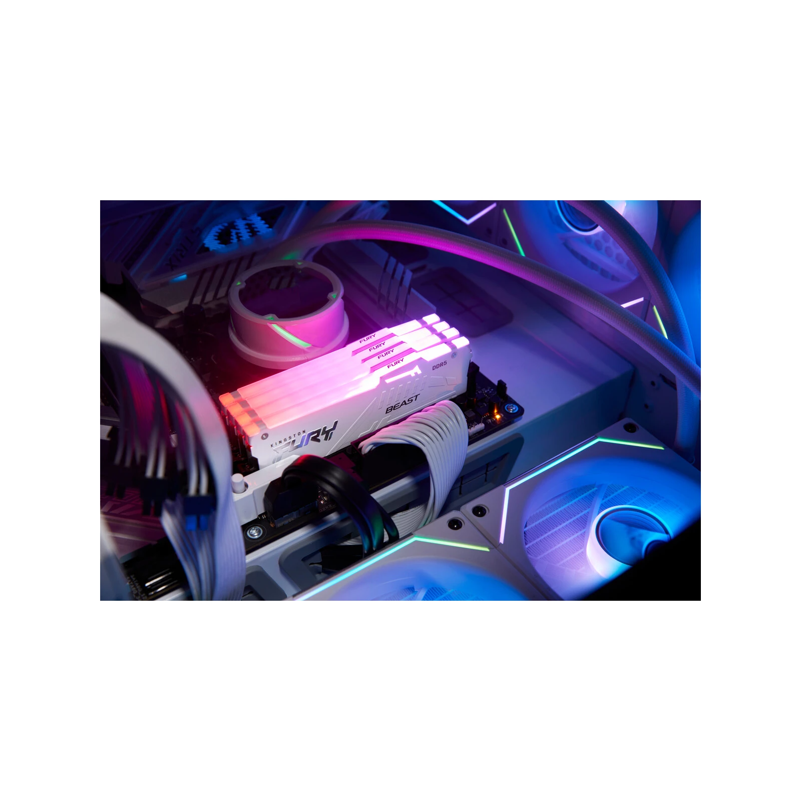 DDR5 32GB 6000 MHz Beast AM5 RGB White Kingston Fury (ex. HyperX) (KF560C36BWEA-32) (UA) Тип пам'яті: DDR5; Об'єм пам'яті: 32