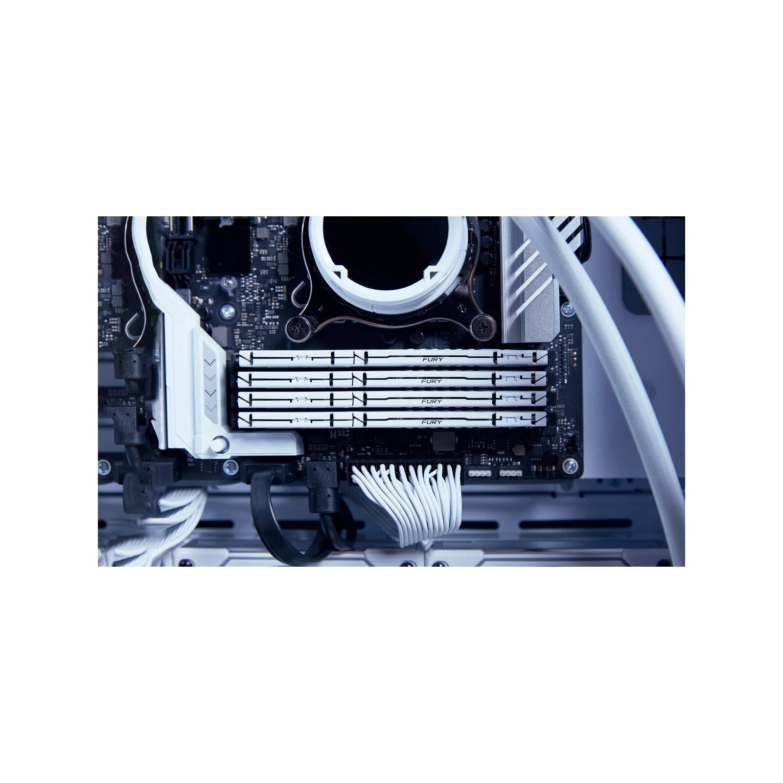 DDR5 64GB (2x32GB) 5600 MHz Beast White EXPO Kingston Fury (ex. HyperX) (KF556C36BWEK2-64) (UA) Тип пам'яті: DDR5; Об'єм пам'яті: 64
