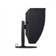 Eizo ColorEdge CG319X-BK 4K (CG319X-BK) EU