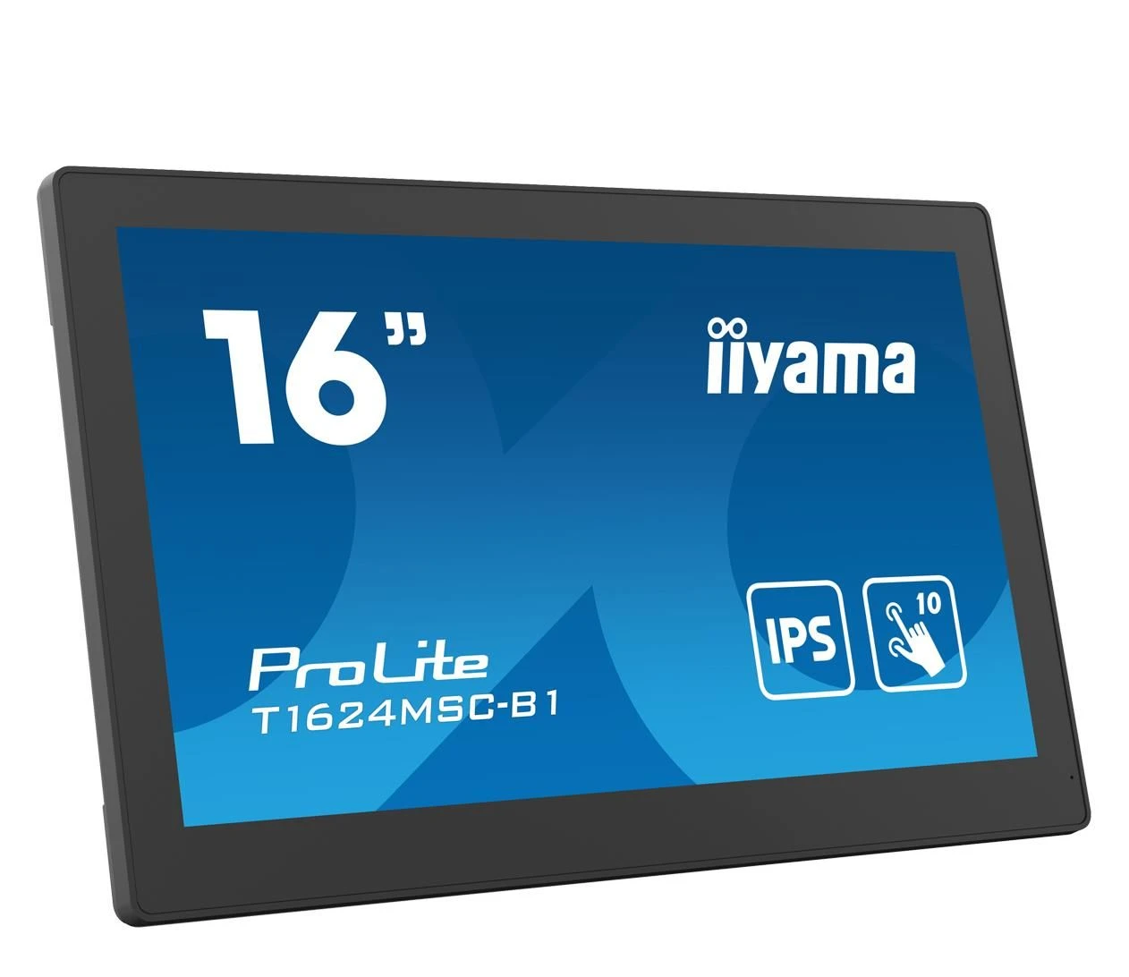 iiyama T1624MSC-B1 Touch (T1624MSC-B1) EU Призначення: Будинки та офіс