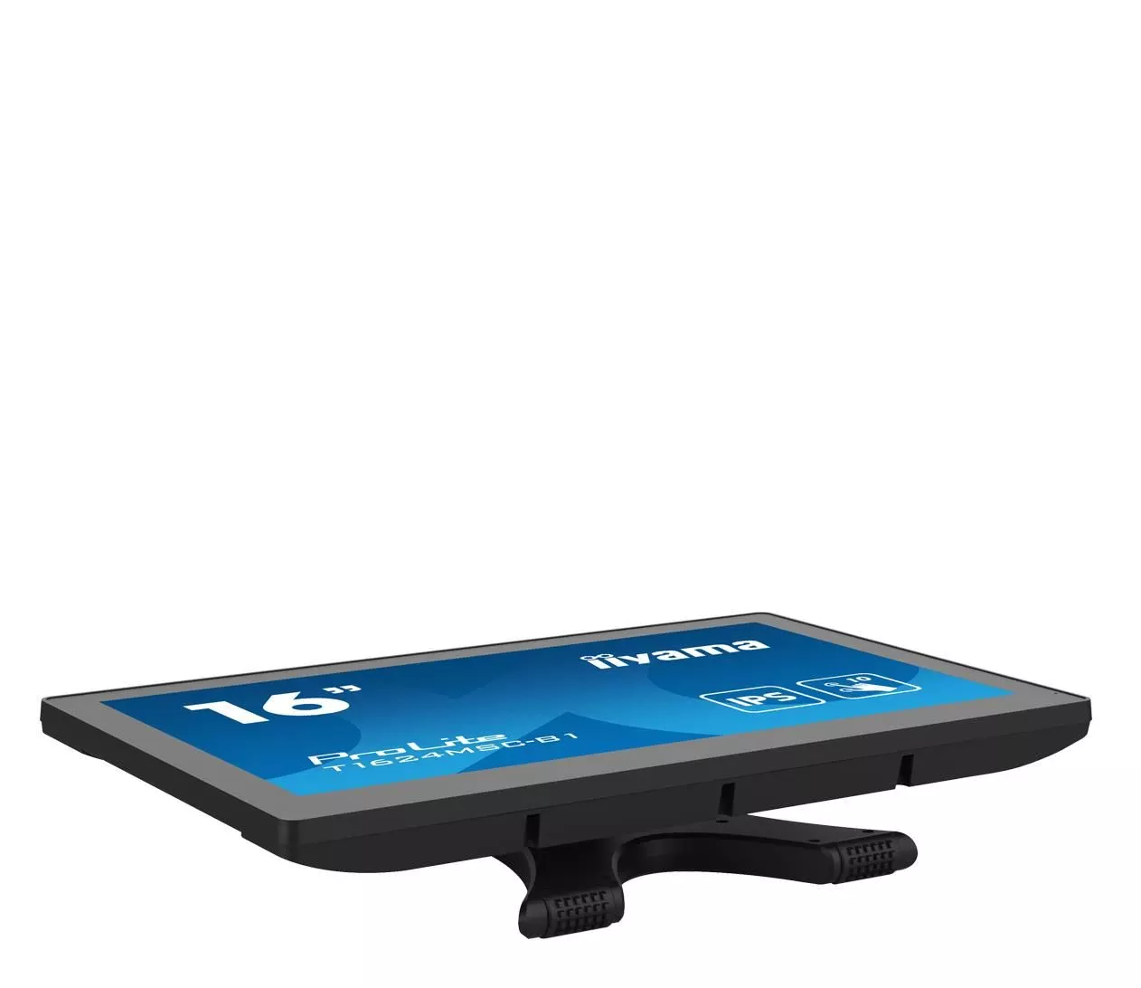 iiyama T1624MSC-B1 Touch (T1624MSC-B1) EU Назначение: Дома и офис