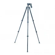 Vanguard Vesta 233AGH (DAS301173) (UA)