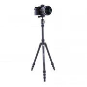 Vanguard Vesta TB 204AB (DAS301640) (UA)