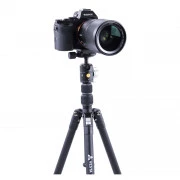 Vanguard Vesta TB 204AB (DAS301640) (UA)