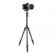 Vanguard Vesta TB 204CB (DAS301490) (UA)