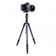 Vanguard Vesta TB 204CB (DAS301490) (UA)