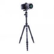 Vanguard Vesta TB 235AB (DAS301561) (UA)