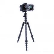Vanguard Vesta TB 235AB (DAS301561) (UA)