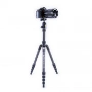 Vanguard Vesta TB 235CB (DAS301093) (UA)