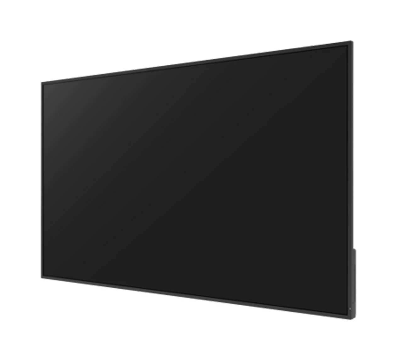 Avtek Avtek DS 55 (1TV313) EU Назначение: Большой формат (LFD);