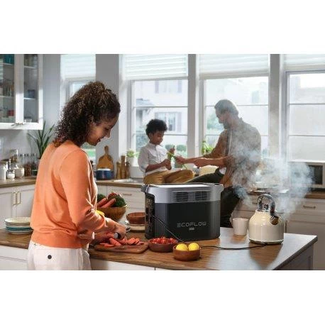 EcoFlow DELTA 2 Max (EFDELTA2Max-EU) Бренд: EcoFlow; Розетка AC 230В: 4; USB