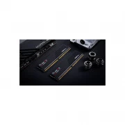 DDR5 32GB (2x16GB) 5600 MHz Flare X5 G.Skill (F5-5600J3636C16GX2-FX5) (UA)