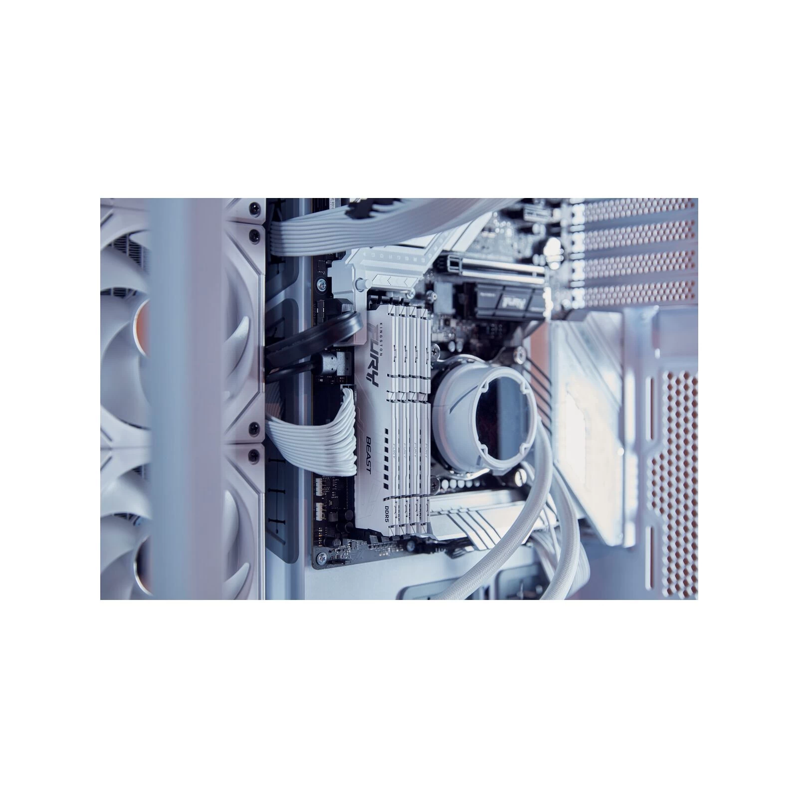 DDR5 32GB 6000 MHz Beast EXPO White Kingston Fury (ex. HyperX) (KF560C36BWE-32) (UA) Тип пам'яті: DDR5; Об'єм пам'яті: 32