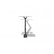 Kivi Motion-223 (UA)