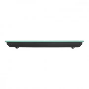 Ardesto SCK-893WATERMELON