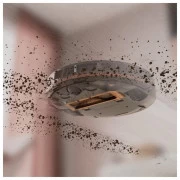 Electrolux ER61UD1UG