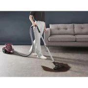 Rowenta Compact Power XXL Animal + Kit RO4B63EA