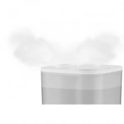 Rowenta HU4020F0 (UA)