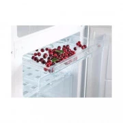 Snaige RF31SM-S0002E