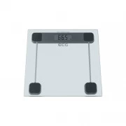 ECG OV 137 Glass (OV137 Glass) (UA)
