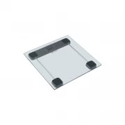 ECG OV 137 Glass (OV137 Glass) (UA)