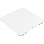 ECG OV 1821 White (OV1821 White) (UA)