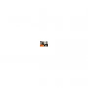 Graphite 58GE100 (UA)