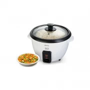 Мультиварка ECG RZ 11 (RZ11) (UA)