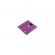 Dario DFS-2818F Branch (UA)