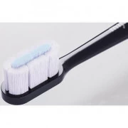 Xiaomi Electric Toothbrush T700