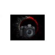 Canon EOS R6 Mark II body (5666C031) (UA)