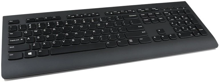 Lenovo Professional WL UKR (4Y41D64797) (UA) Тип клавиатуры: Мембранные;