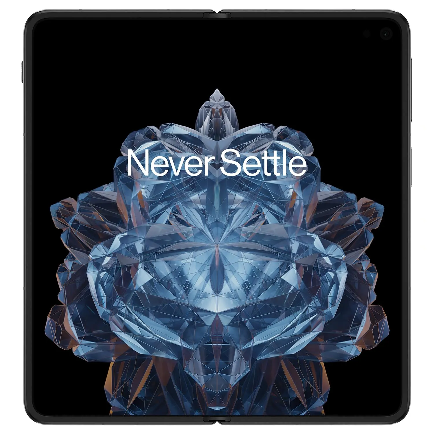 OnePlus Open 16/512GB Voyager Black Дисплей: 6.31 / Amoled (2484x1116 пікселів)