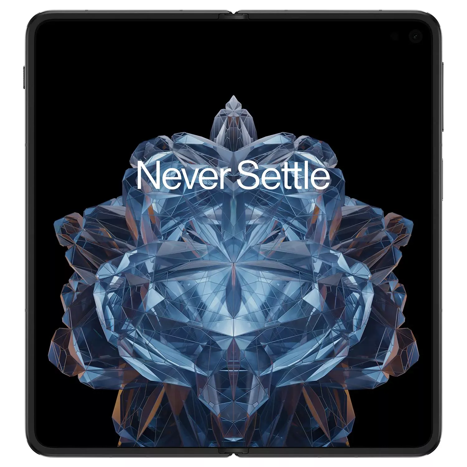 OnePlus Open 16/512GB Voyager Black Дисплей: 6.31 / Amoled (2484x1116 пікселів)