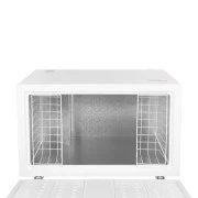 Ardesto FRM-250ECM (UA)