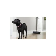 iRobot Roomba Combo i5 (i517840) (UA)