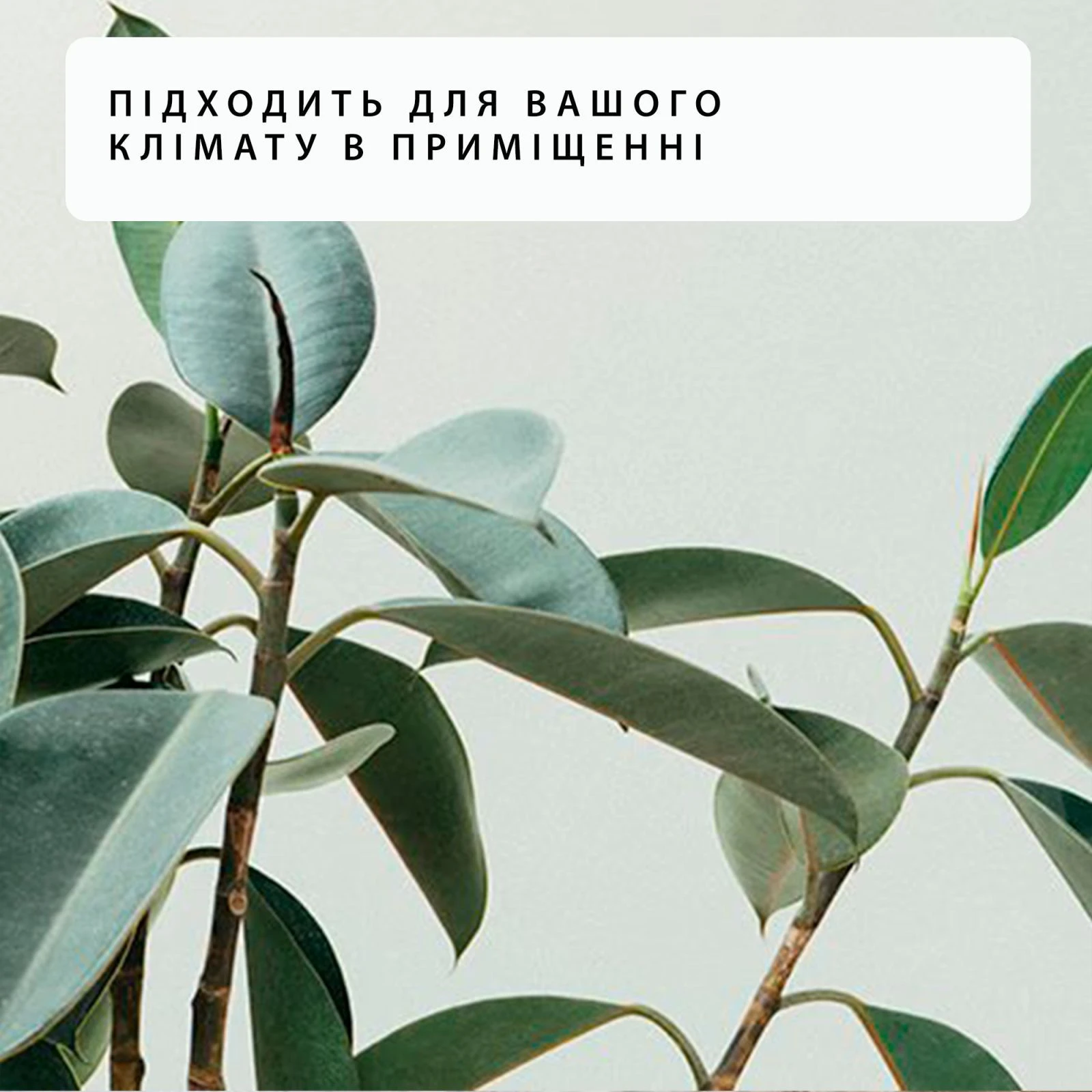 Mill PA1200WIFI3 (UA) Тип: конвектор; Площа обігріву: 18