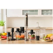 Sencor SHB6552BK (UA)