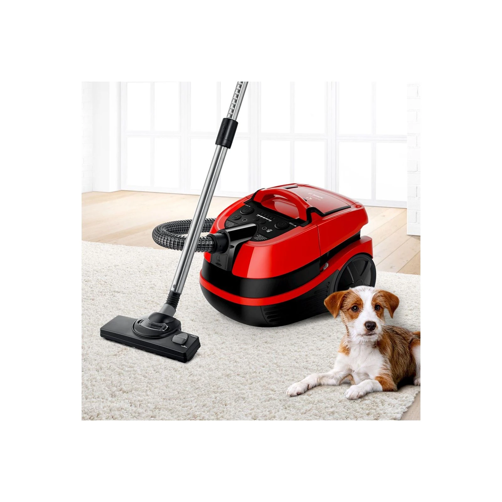 Bosch BWD421PET (UA) тип контролю  у випадку 
