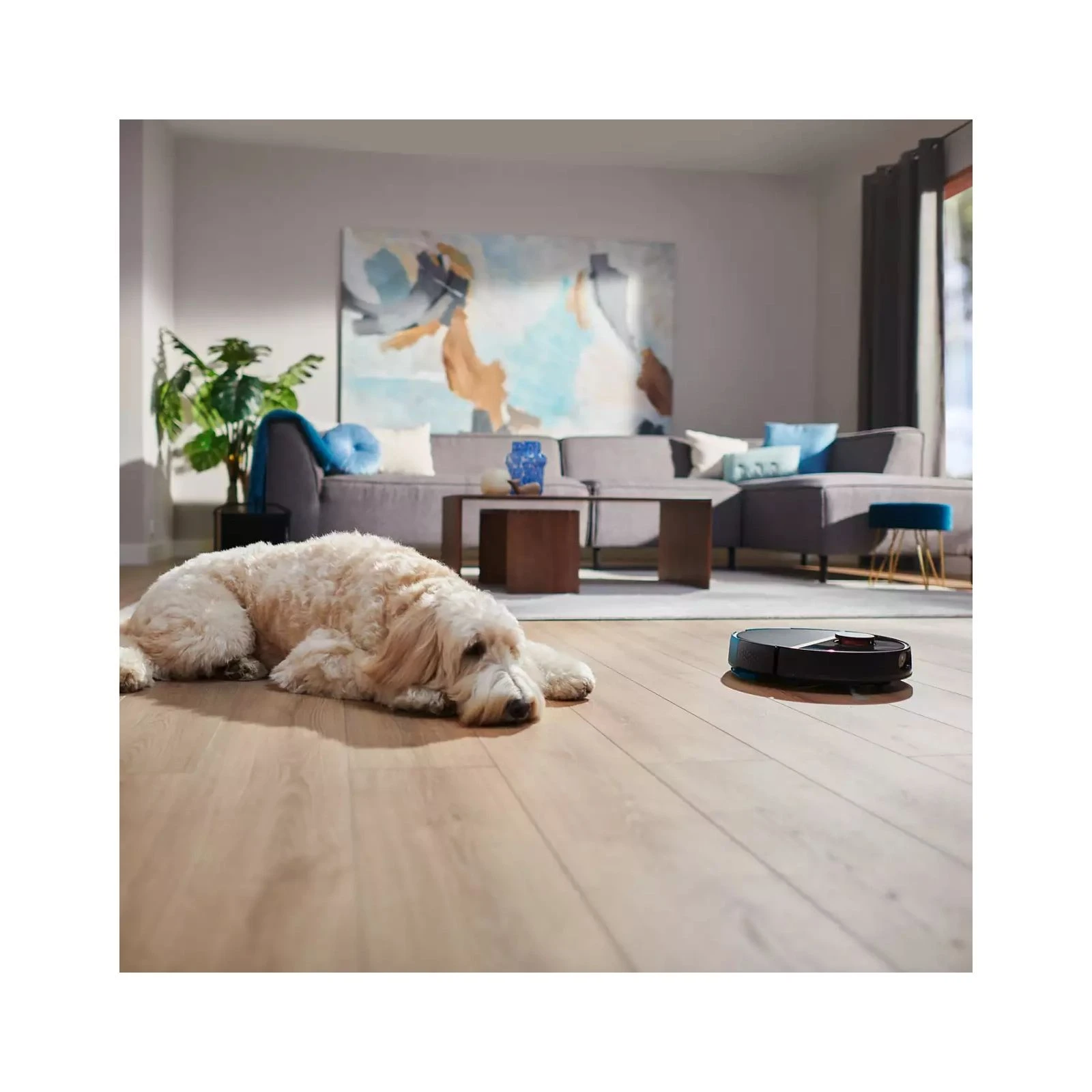 Philips XU7100/01 (UA) Тип пилососа робот