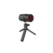 AVerMedia AM310G2 Versati Go (40AAAM310AWL) (UA)