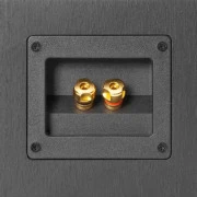 Elac Debut 2.0 DA42 Black Ash Vinyl (32018)