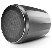 JBL Control 64P/T (C64P/T)