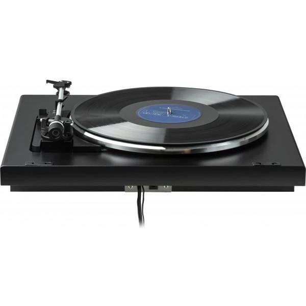 Програвач Rekkord Audio F300 Black (F 300 (AT91) - BLACK) Плавання ми самі  Електронні 