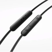Наушники с микрофоном Xiaomi Type-C Earphones Black (BHR8930GL)