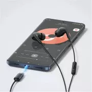 Наушники с микрофоном Xiaomi Type-C Earphones Black (BHR8930GL)